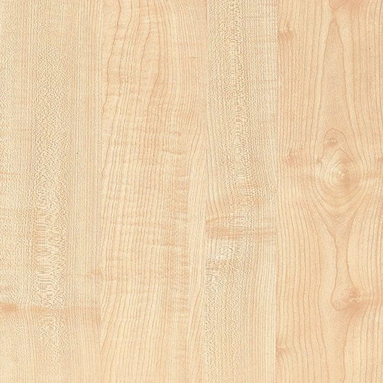 Maple