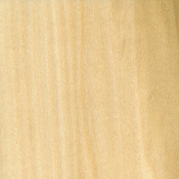 Poplar