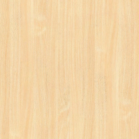 Beech